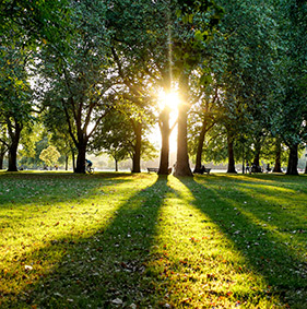 Hyde Park in Oxford Street