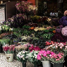 Columbia road flower market